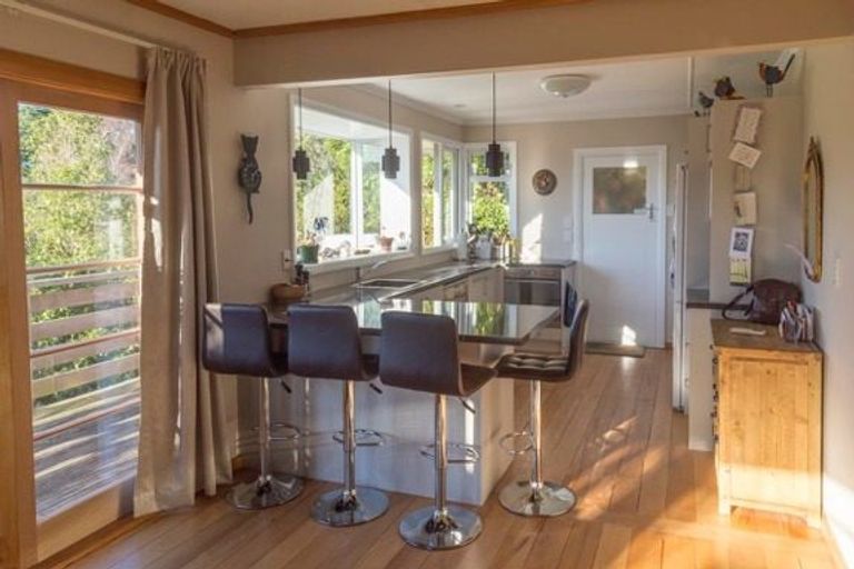 Photo of property in 209 Signal Hill Road, Opoho, Dunedin, 9010