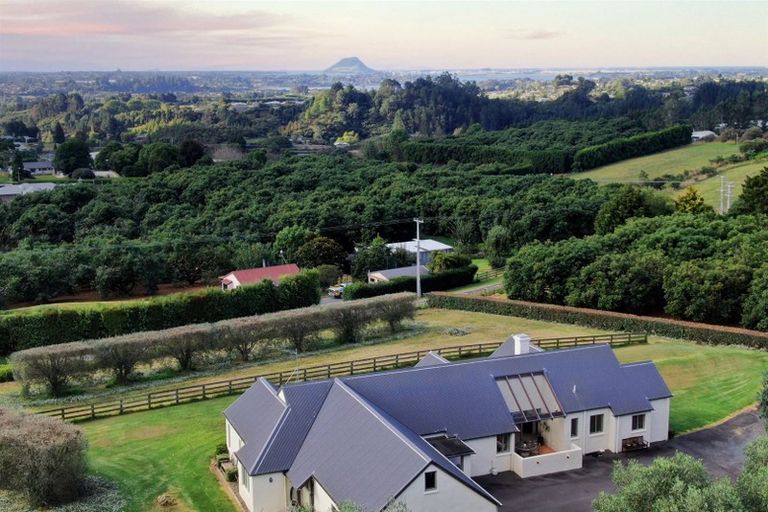 Photo of property in 202 Pukemapu Road, Oropi, Tauranga, 3173