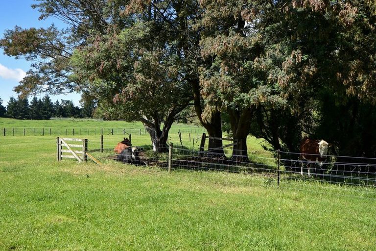 Photo of property in 90 Millars Road, Longbush, Carterton, 5792