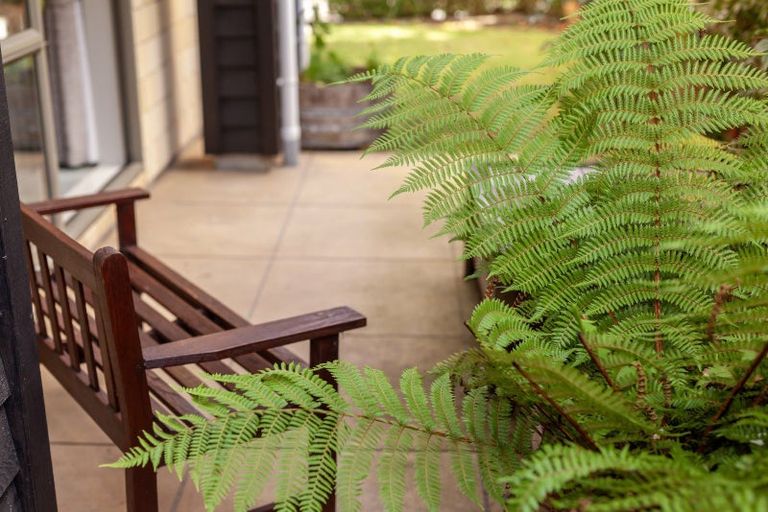 Photo of property in 7 Jade Lane, Paraparaumu, 5032