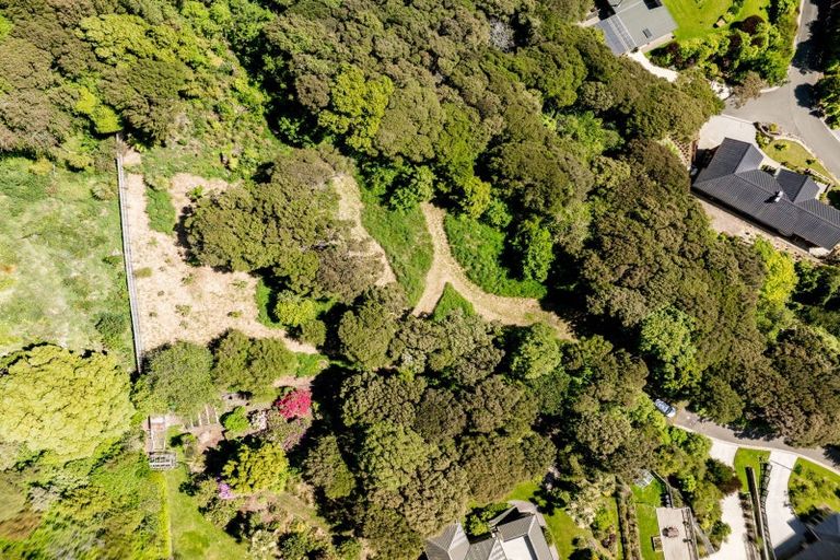 Photo of property in 24 Fred Hollows Way, Glenleith, Dunedin, 9010