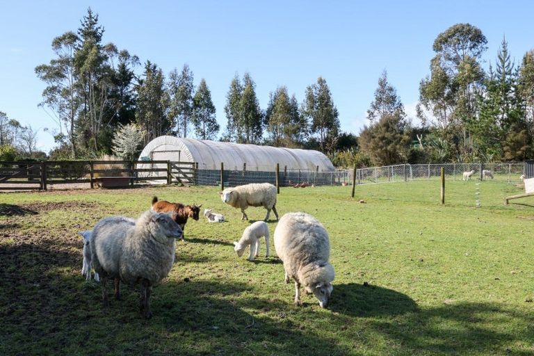 Photo of property in 103 Alma Road, Westport, 7892