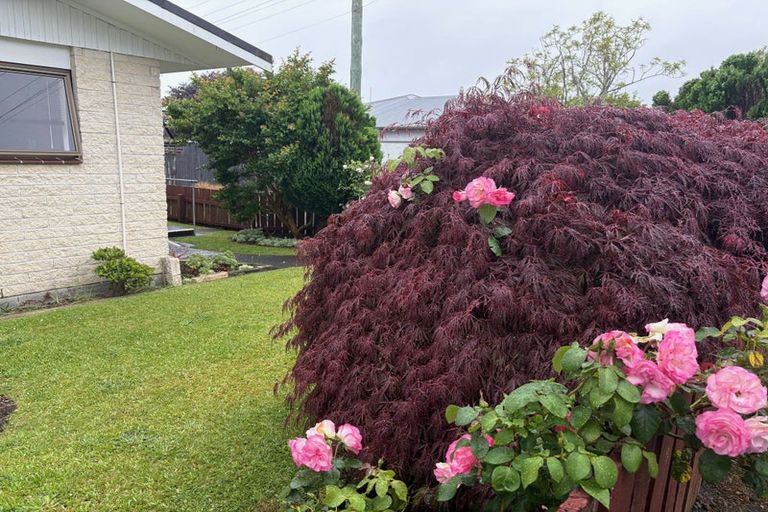 Photo of property in 1/14 Burns Street, Westown, New Plymouth, 4310