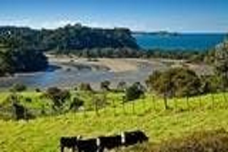 Photo of property in 1254 Hibiscus Coast Highway, Puhoi, Warkworth, 0994