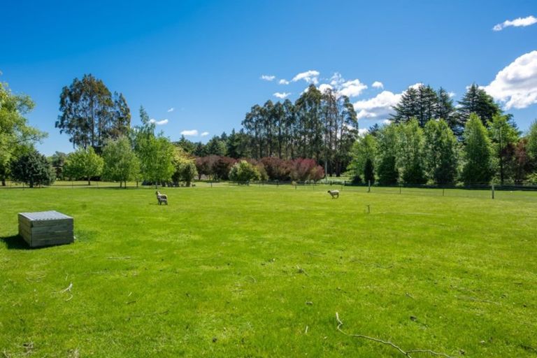 Photo of property in 409 Northbank Road, Kaituna, Blenheim, 7275