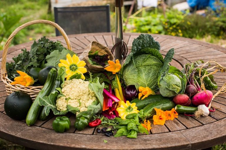 Photo of property in 148 Maskells Road, Balcairn, Amberley, 7481