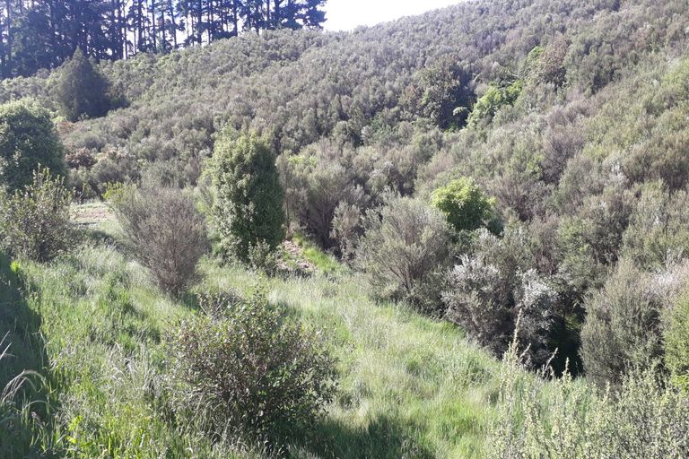 Photo of property in 67 Lacebark Drive, Linton, Palmerston North, 4472