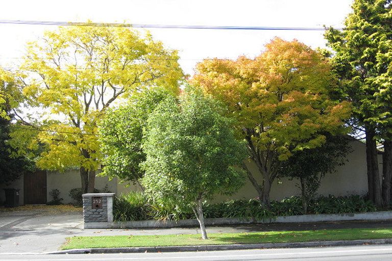 Photo of property in 252a Waimairi Road, Ilam, Christchurch, 8041