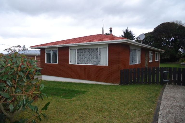 Photo of property in 17 Sholson Street, Putaruru, 3411