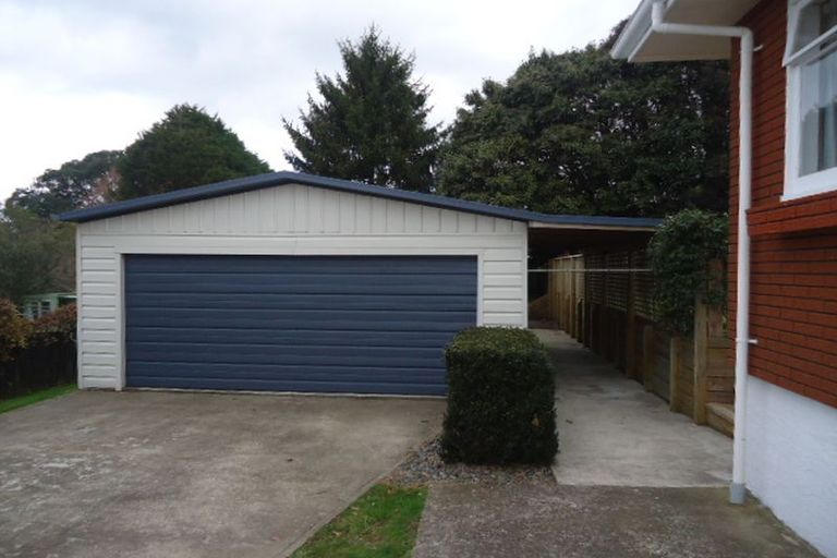 Photo of property in 17 Sholson Street, Putaruru, 3411