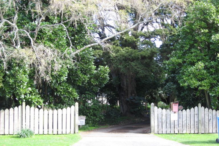 Photo of property in 60 Macarthur Street, Levin, 5510