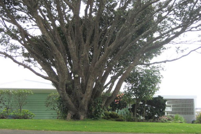 Photo of property in 76d South Road, Blagdon, New Plymouth, 4310