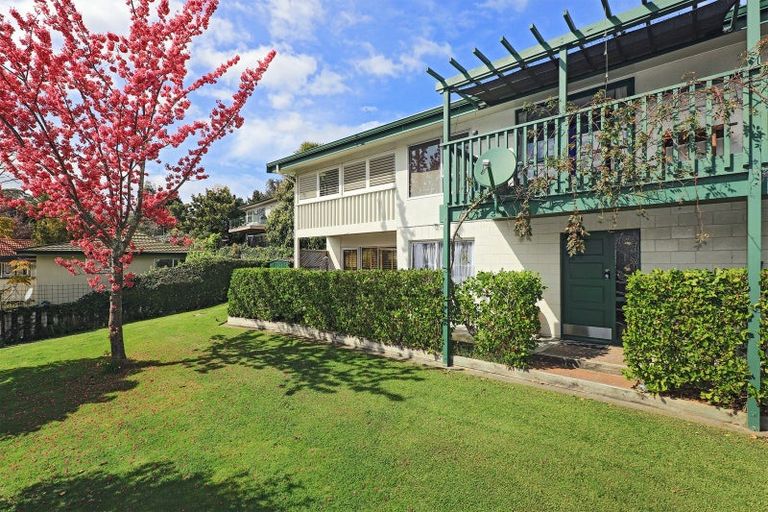 Photo of property in 19 Muritai Crescent, Havelock North, 4130