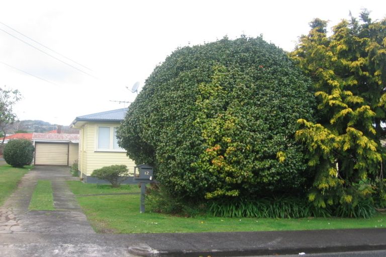 Photo of property in 12 Albion Place, Papakura, 2110