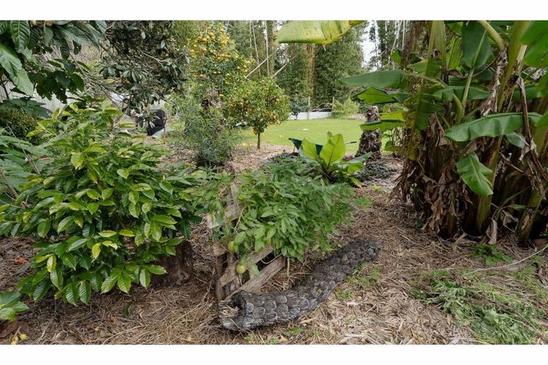 Photo of property in 6 Darwin Road, Kerikeri, 0230