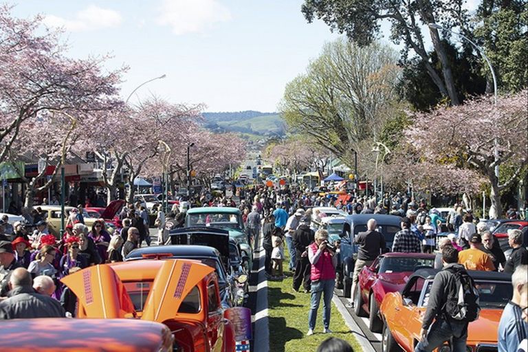 Photo of property in 26b Greerton Road, Gate Pa, Tauranga, 3112