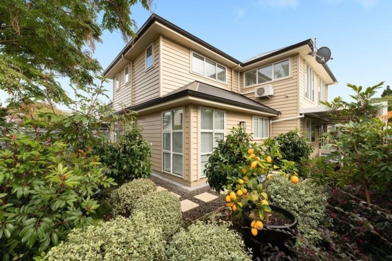 Photo of property in 31b Harvey Street, Tauranga South, Tauranga, 3112