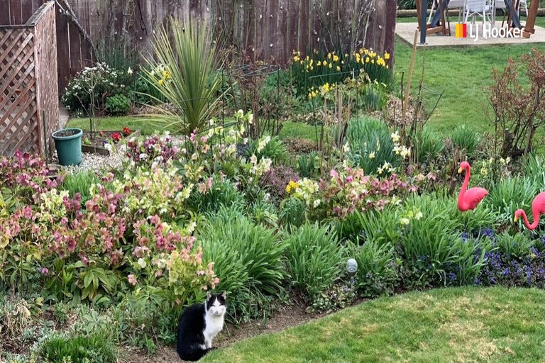 Photo of property in 17 Lorne Street, Mosgiel, 9024