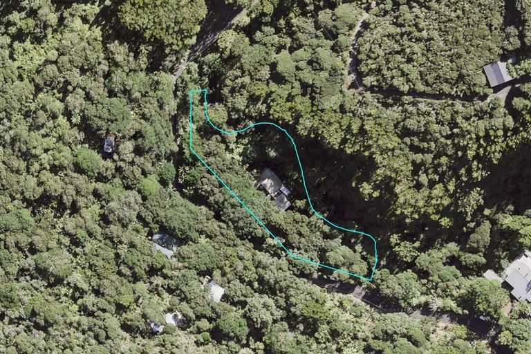 Photo of property in 40 Lone Kauri Road, Karekare, New Lynn, 0772