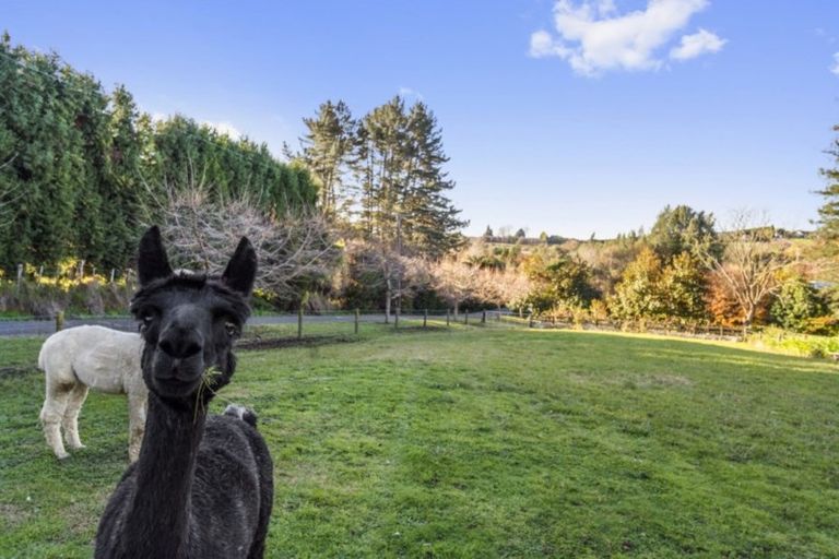Photo of property in 13b I'anson Road, Minden, Tauranga, 3179