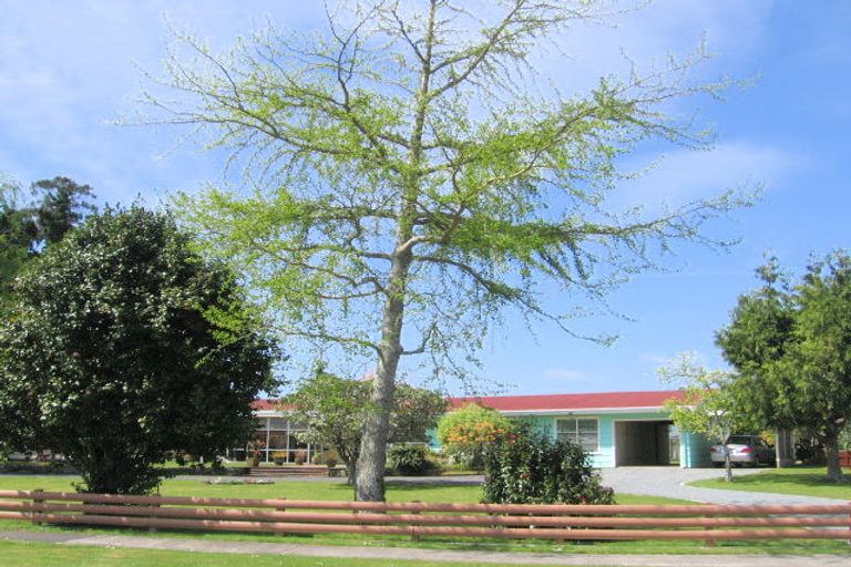 Photo of property in 13 Gordon Terrace, Matamata, 3400