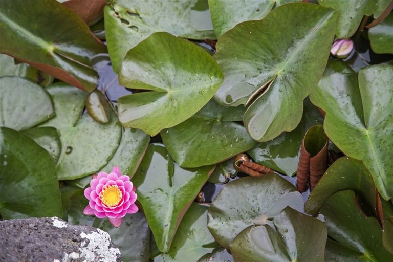 Photo of property in 30 Kotuku Road, Otaua, Waiuku, 2682