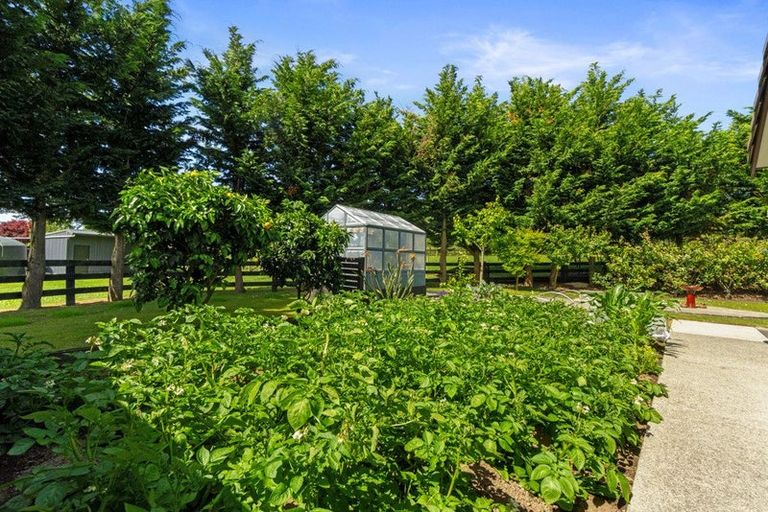 Photo of property in 20 Willis Road, Temple View, Hamilton, 3290