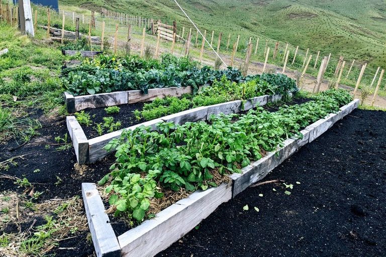 Photo of property in 1798 Waimarama Road, Waimarama, Havelock North, 4294