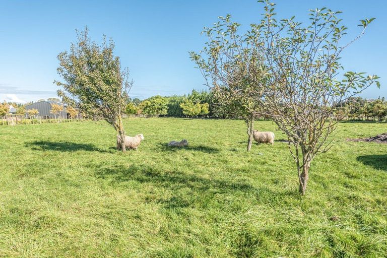 Photo of property in 20 Nicholson Drive, Kaitoke, Whanganui, 4572