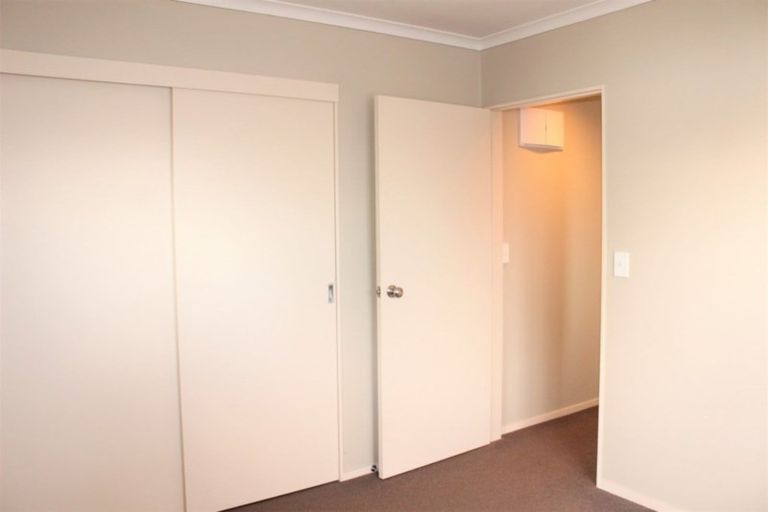 Photo of property in 95 Parry Palm Avenue, Waihi, 3610