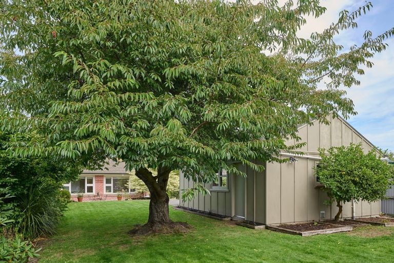 Photo of property in 115 Saint Martins Road, Saint Martins, Christchurch, 8022