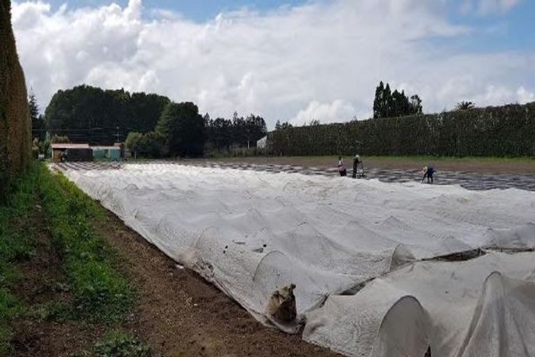 Photo of property in 328 Riverhead Road, Riverhead, 0892