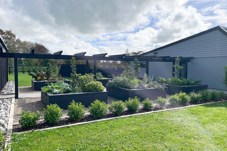Photo of property in 18 Orchard Place, Matamata, 3472