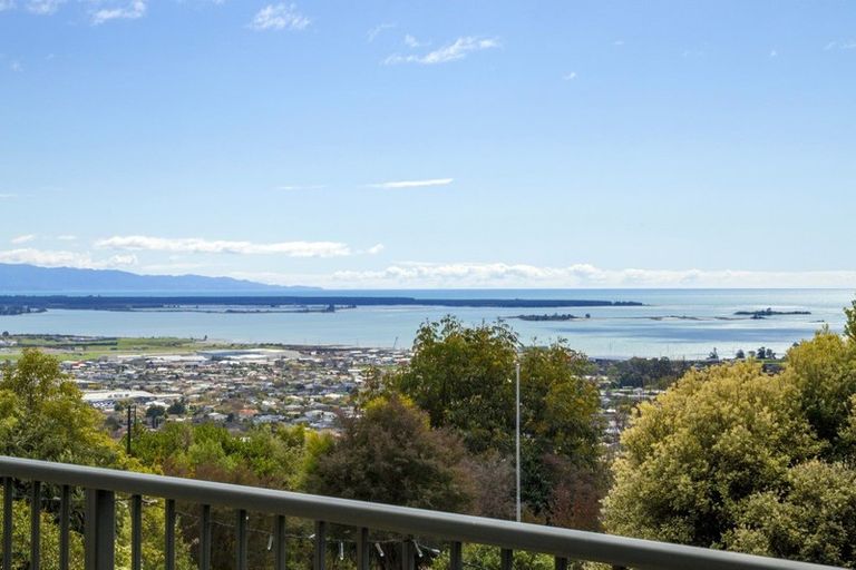 Photo of property in 5 Valhalla Lane, Richmond, 7020