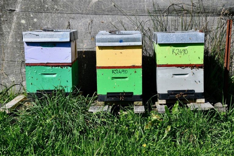 Photo of property in 1/19 Glasseye Drive, Little Wanganui, Karamea, 7893