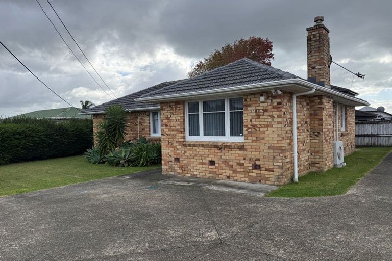 Photo of property in 48 James Laurie Street, Henderson, Auckland, 0612