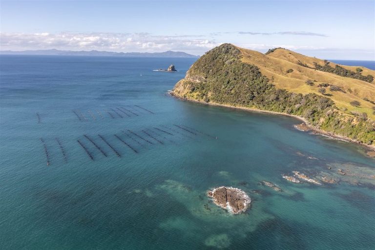 Photo of property in 7 Stony Bay Road, Port Charles, Coromandel, 3584