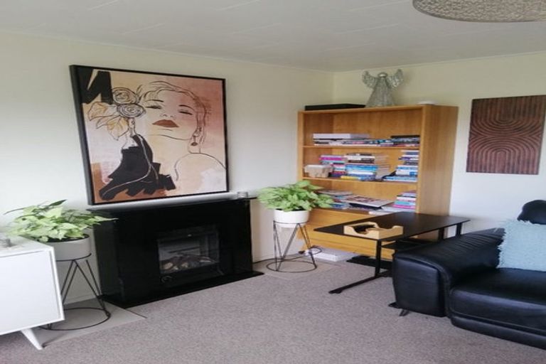 Photo of property in 302 Willowpark Road North, Hastings, 4122