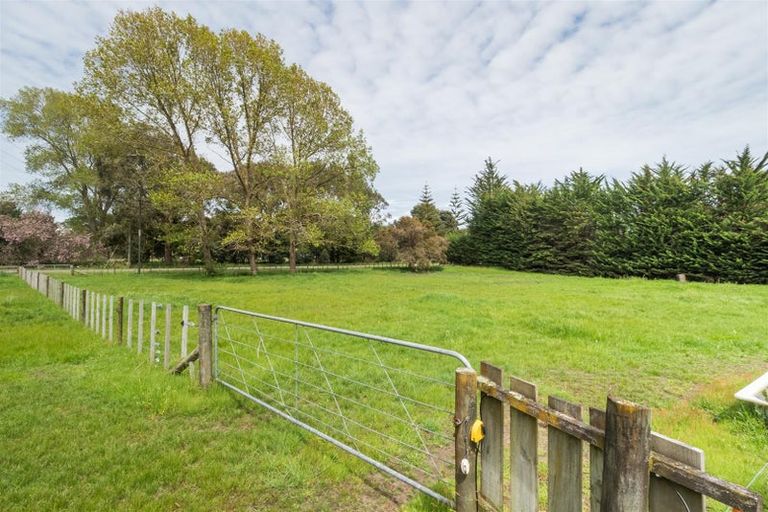 Photo of property in 778 Brandon Hall Road, Santoft, Bulls, 4894