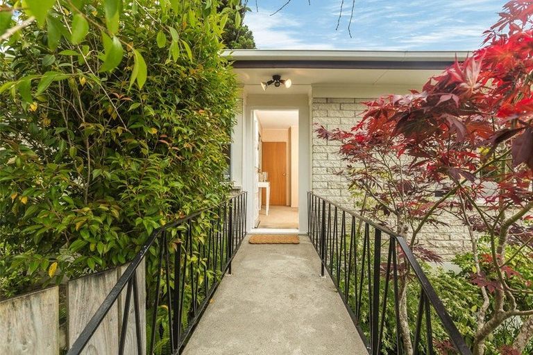 Photo of property in 25 Walnut Lane, Browns Bay, Auckland, 0630