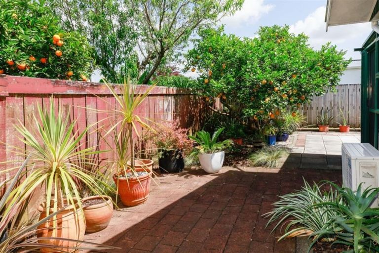 Photo of property in 2a Buchanan Street, Paeroa, 3600