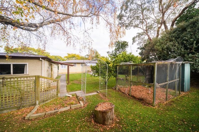 Photo of property in 189 Maxwells Line, Awapuni, Palmerston North, 4412