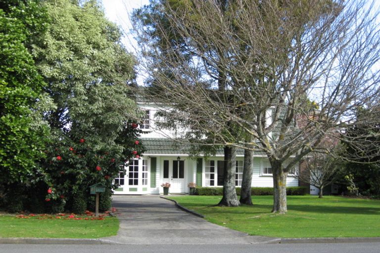 Photo of property in 58 Macarthur Street, Levin, 5510