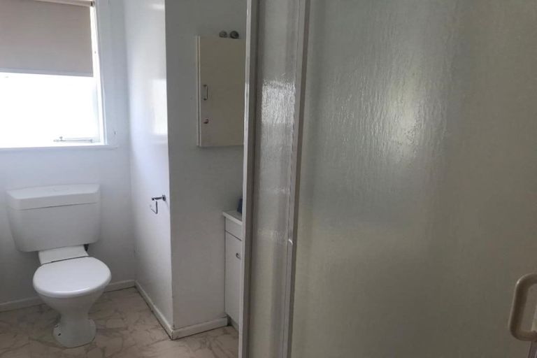 Photo of property in 8 Lynden Avenue, Hillcrest, Auckland, 0627