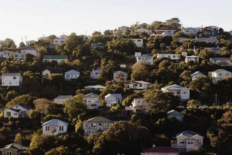 Photo of property in 105 Tiketike Way, Brooklyn, Wellington, 6021