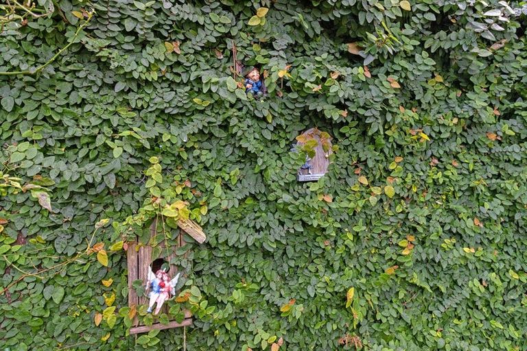 Photo of property in 11a Emma Place, Pukete, Hamilton, 3200