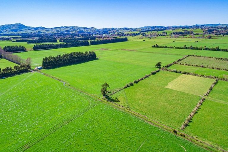 Photo of property in 118 Paierau Road, Opaki, Masterton, 5881