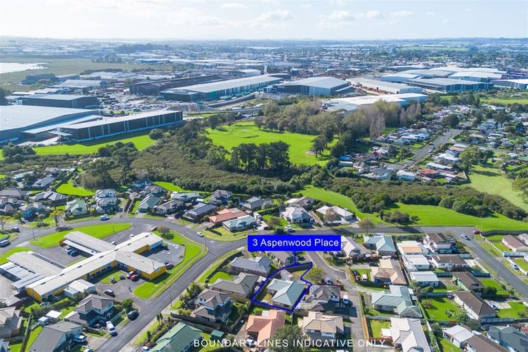 Photo of property in 3 Aspenwood Place, Favona, Auckland, 2024