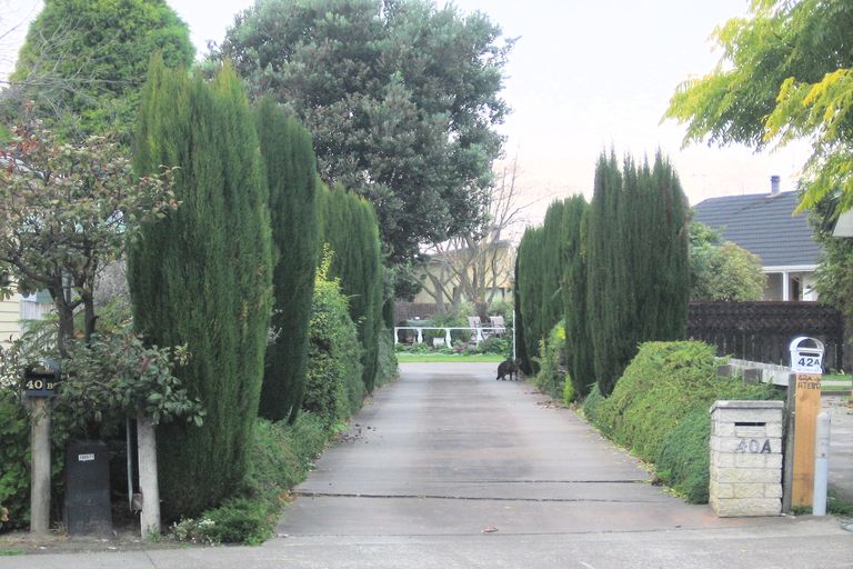 Photo of property in 40a Guppy Road, Greenmeadows, Napier, 4112