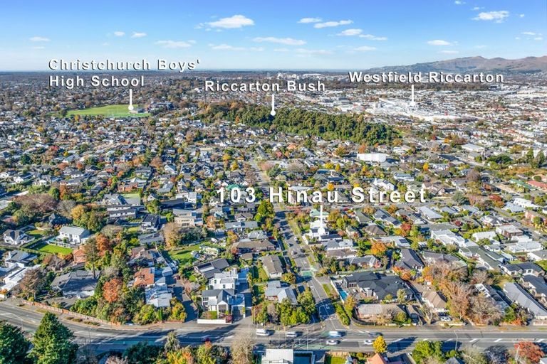 Photo of property in 103 Hinau Street, Riccarton, Christchurch, 8041